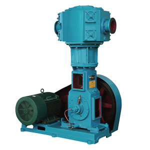 無(wú)油立式真空泵(WLW系列)